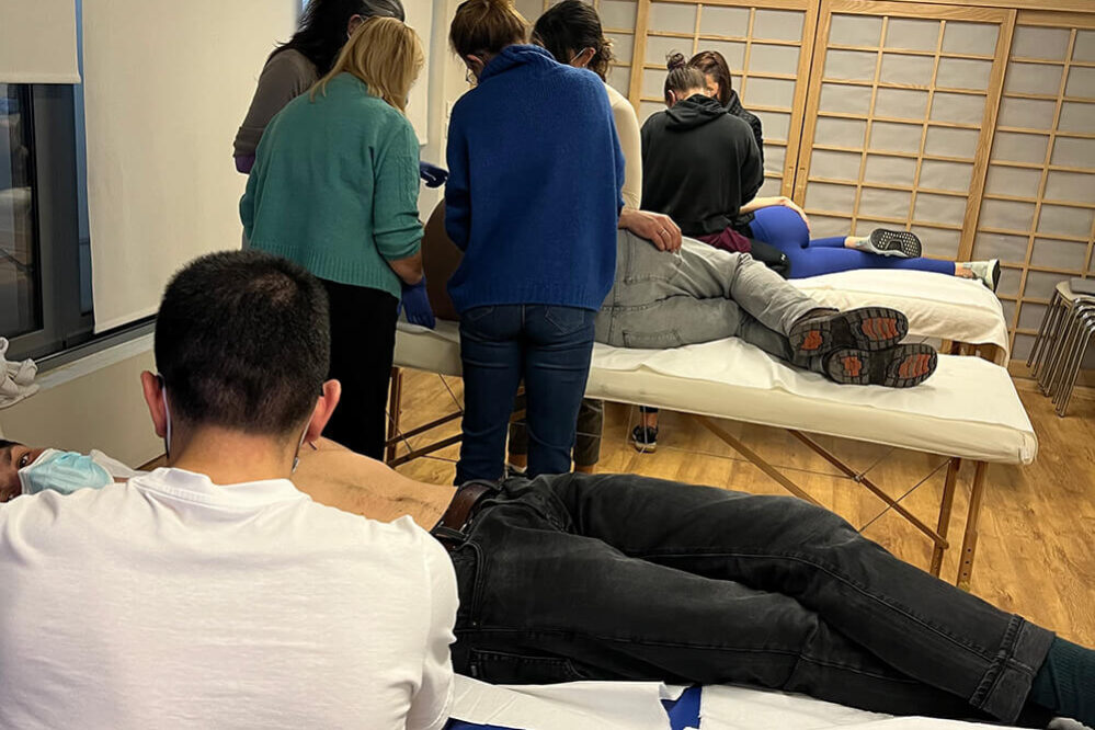 Acupuncture Training Clinic - International Academy of Acupuncture