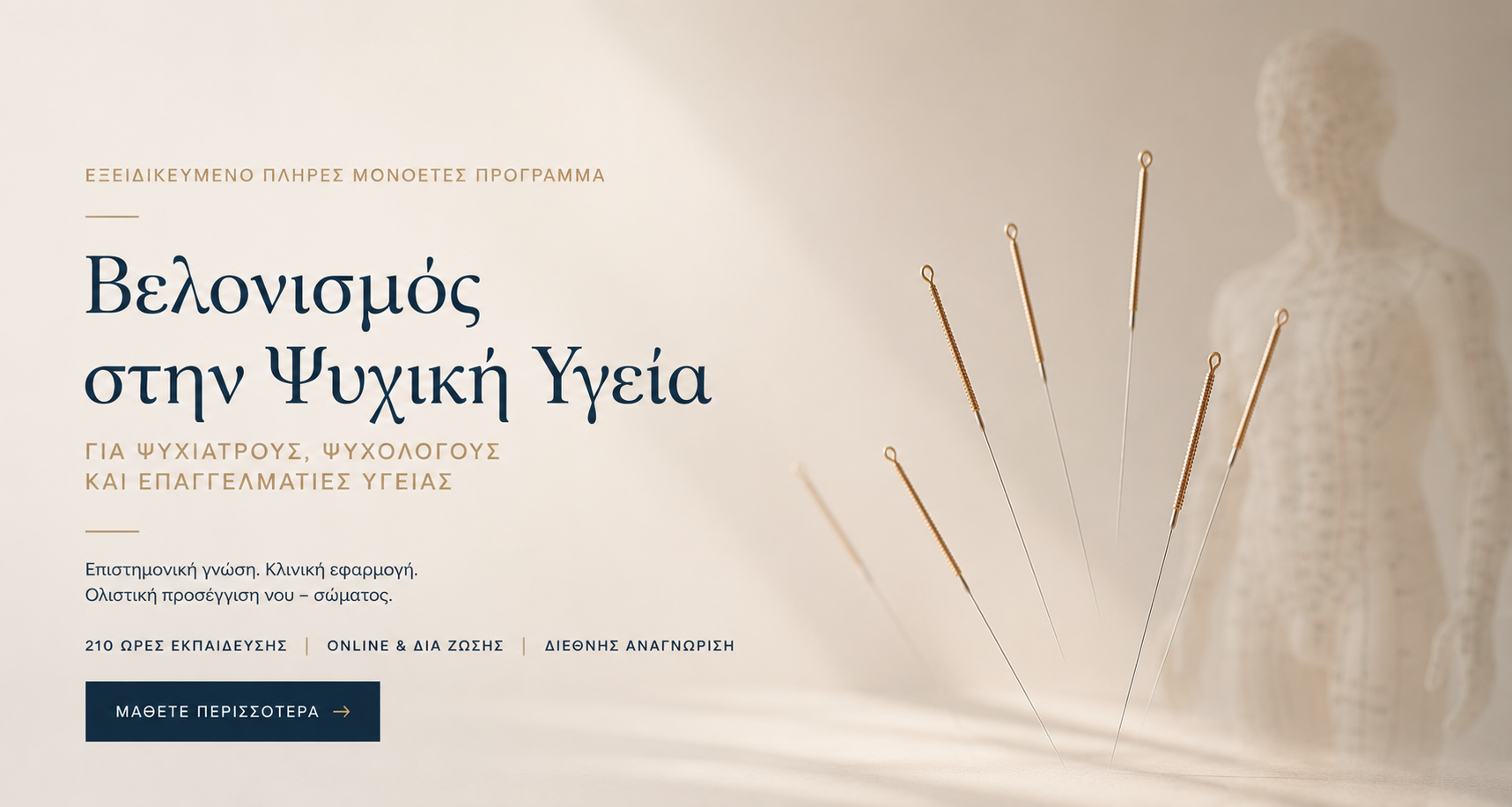 Εκπαίδευση Βελονισμού στην Ψυχική Υγεία