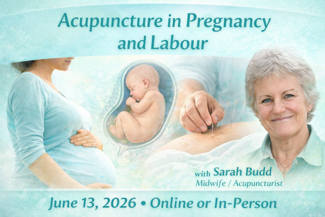 σεμινάριο βελονισμού